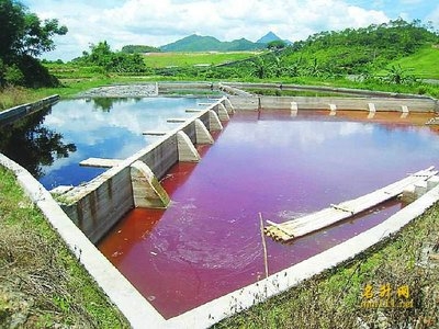 重金屬酸性廢水治理技術